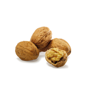 Walnuts from Perigord, France