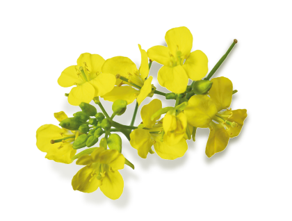 Convenient conditions